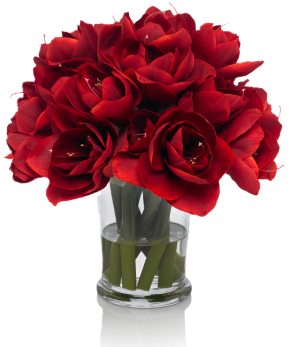 Flowers Vase, Bouquet, Christmas Wedding, Google Search, - Red Flower Vase Png (330x364), Png Download