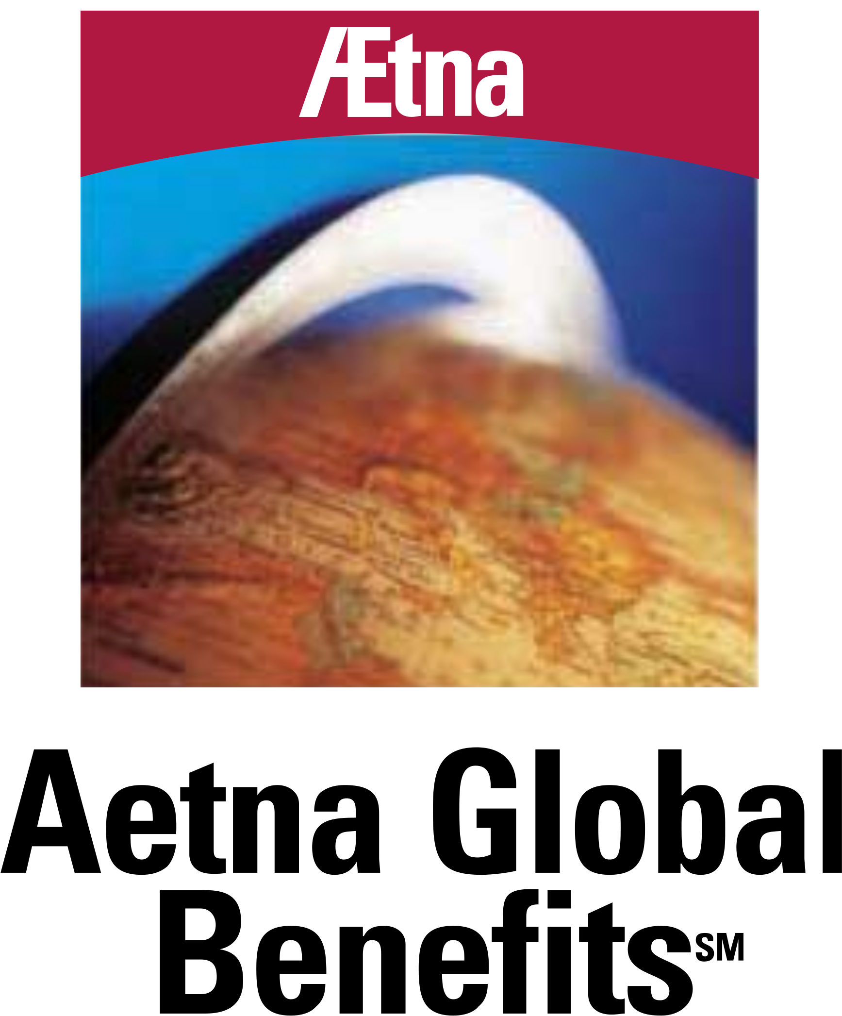 Aetna Global Benefits Logo Png Transparent - Aetna (2400x2400), Png Download