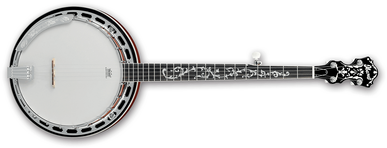 B200 5 String Banjo (1340x527), Png Download