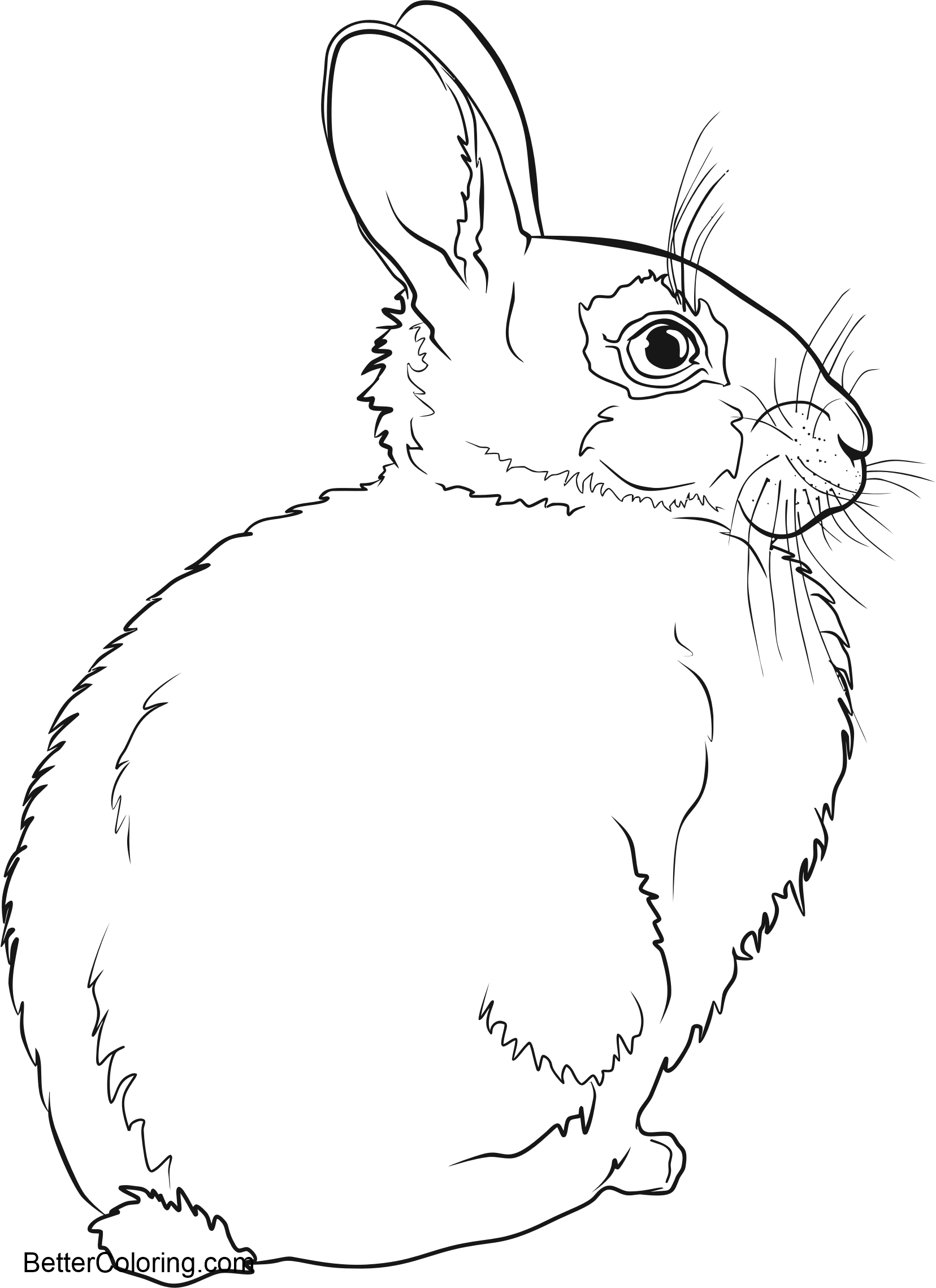 Download This Coloring Page - Coloring Book (1656x2278), Png Download