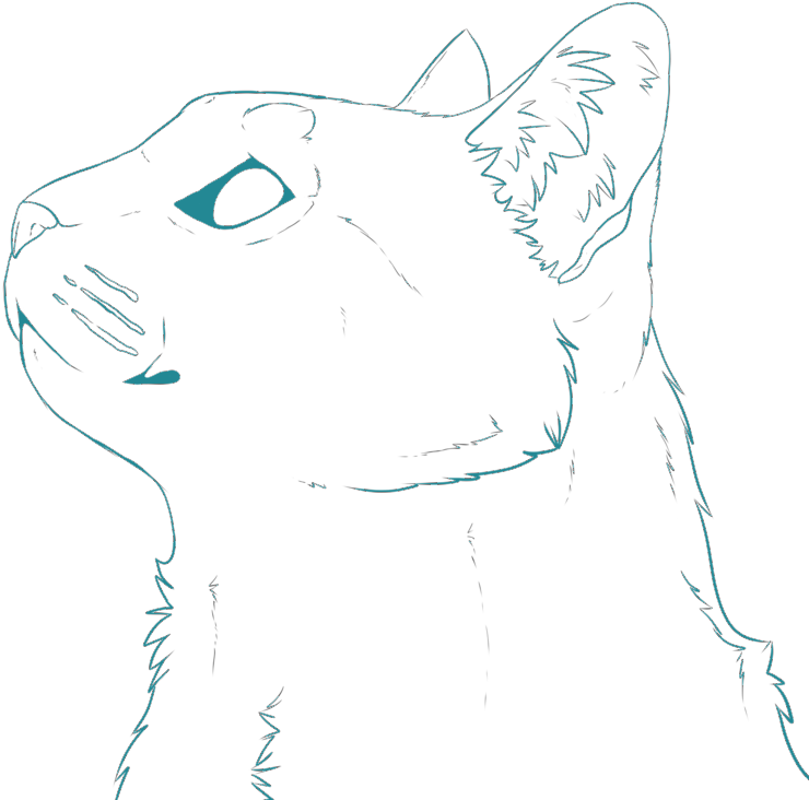 Cat Head Teal Looking Left - Line Art (932x857), Png Download