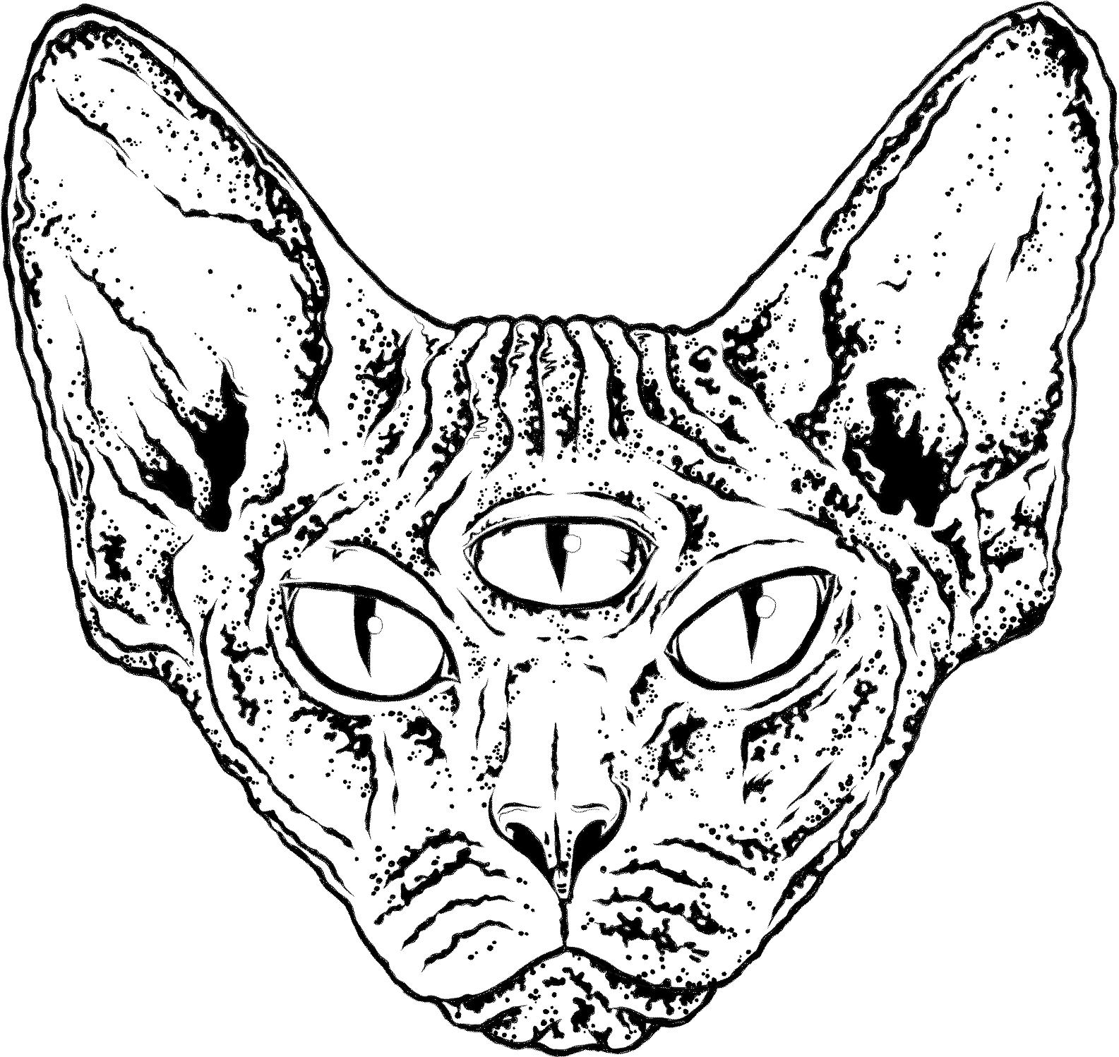 Cat Head - Cathead (1620x1532), Png Download
