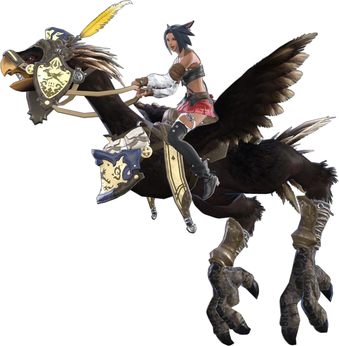 Ffxiv Black Chocobo - Final Fantasy Dark Knight (699x715), Png Download