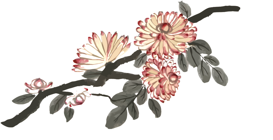 Fresh Deep Pink Hand Painted Chrysanthemum Decorative - Painting (1024x555), Png Download