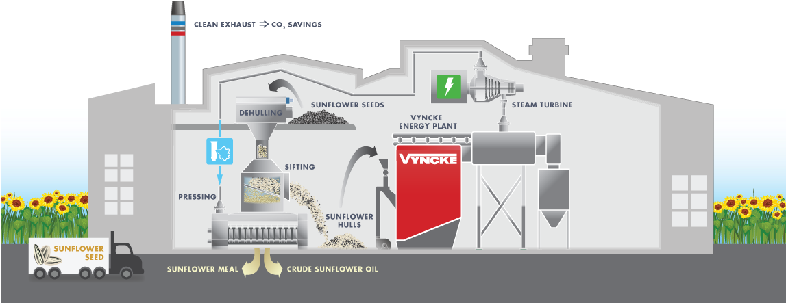 Svg Royalty Free Download Oil Vector Sunflower - Biomass (1146x460), Png Download