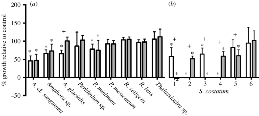 The Effects Of Extracellular Extracts Of K - Illustration (850x381), Png Download