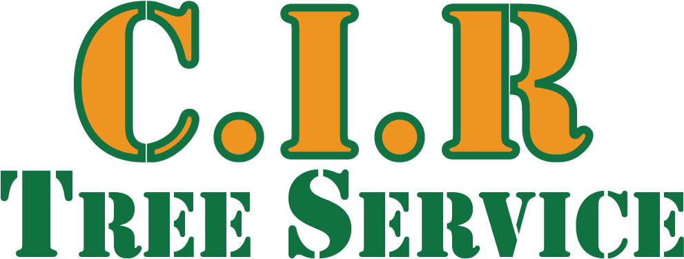 Bernie President 2016 Rectangle Magnet (999x440), Png Download