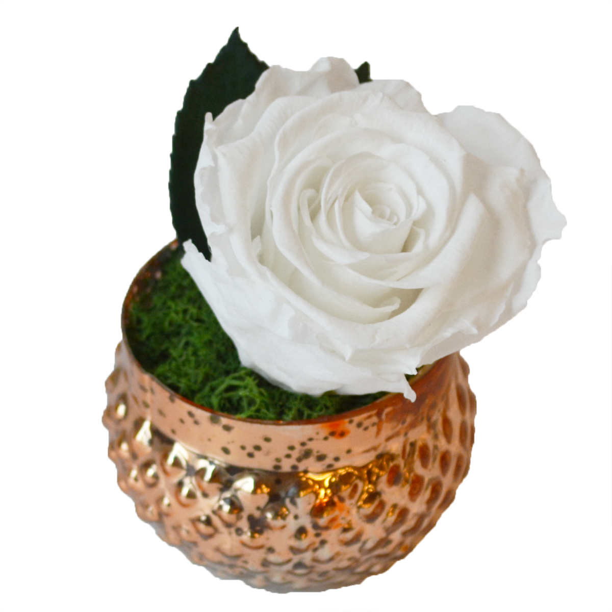 Single Rose Votive - Rose (1200x1200), Png Download