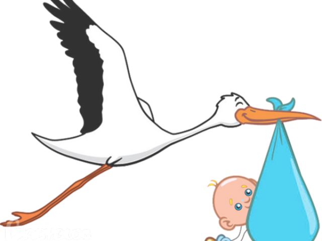 Stork Clipart Transparent (640x480), Png Download
