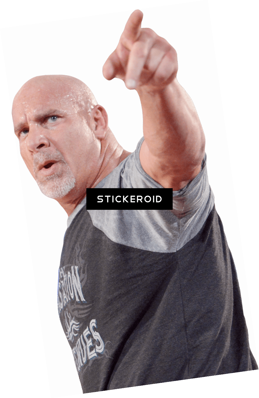 Bill Goldberg Pointing Up - Man (1080x1658), Png Download
