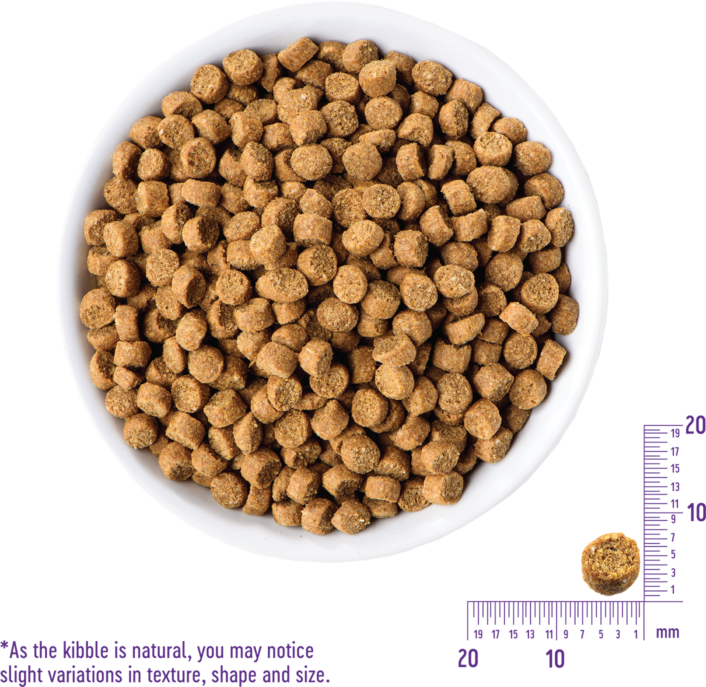 Complete Health™ Grain Free Indoor - Food (1500x1500), Png Download