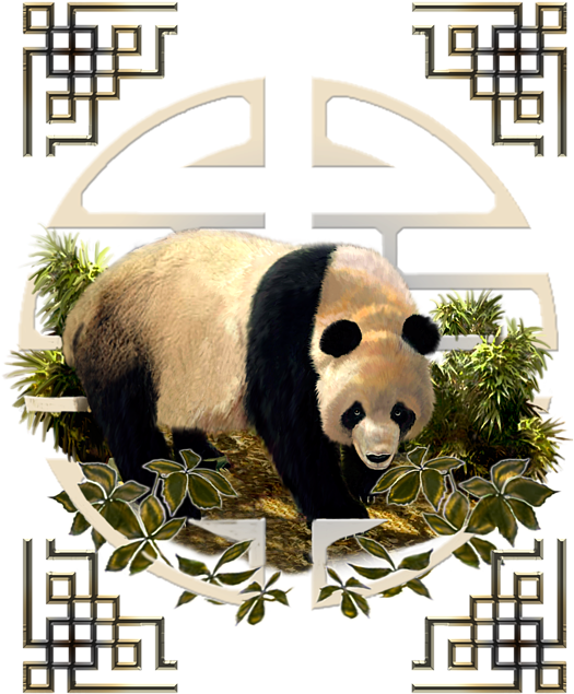 Bleed Area May Not Be Visible - Giant Panda (571x700), Png Download