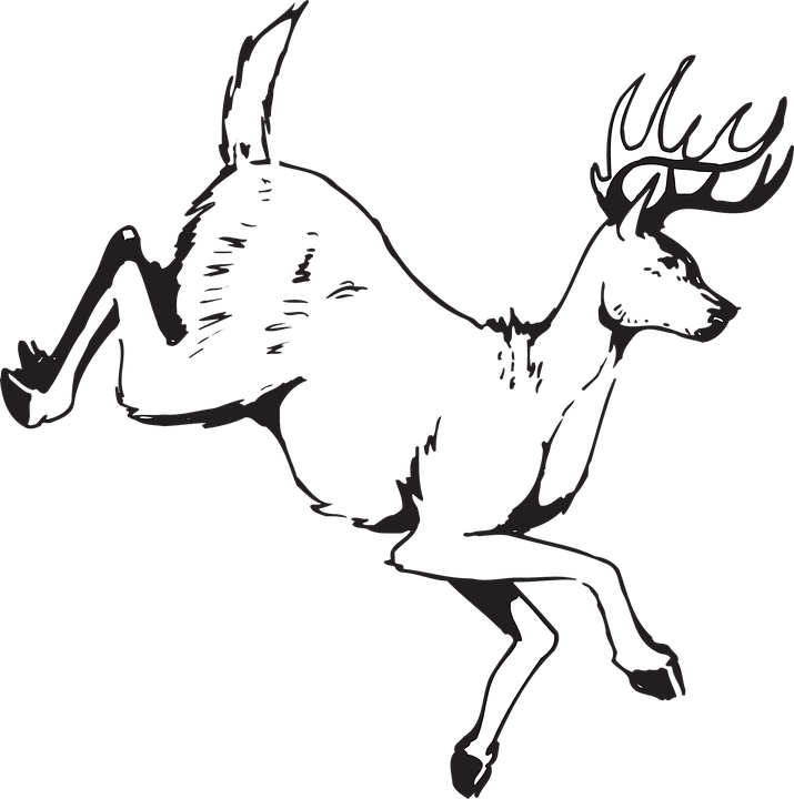 Deer, Jumping, Animal, Antlers, Wildlife - Deer Running Clipart Black And White (715x720), Png Download