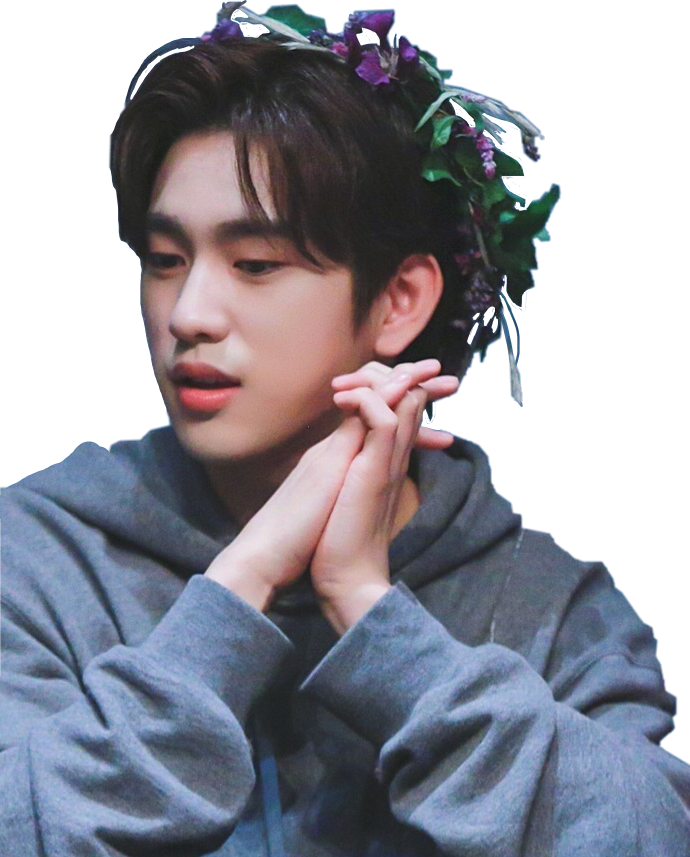 Report Abuse - Jinyoung Flor (690x857), Png Download