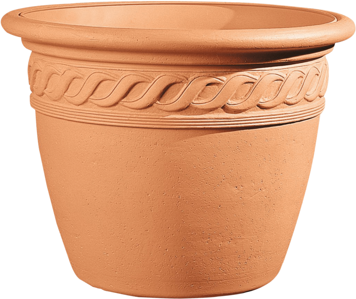 Plant - Flower Pot Png (800x671), Png Download