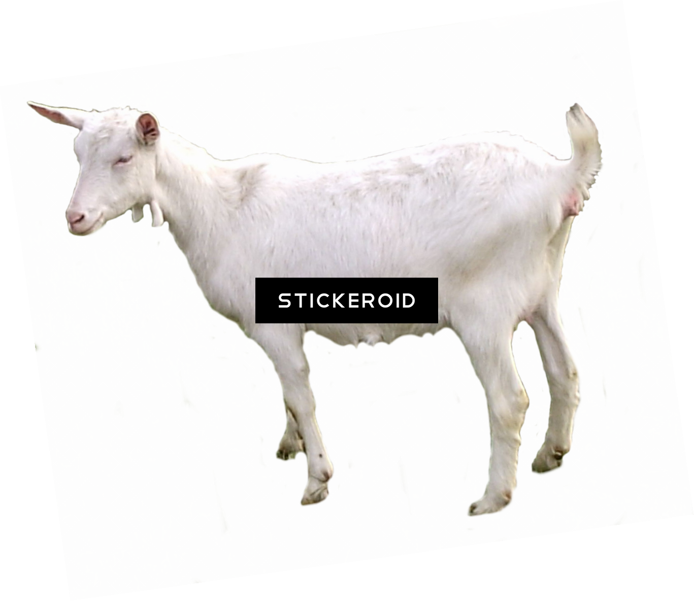 Goat Animals - Portable Network Graphics (1367x1184), Png Download