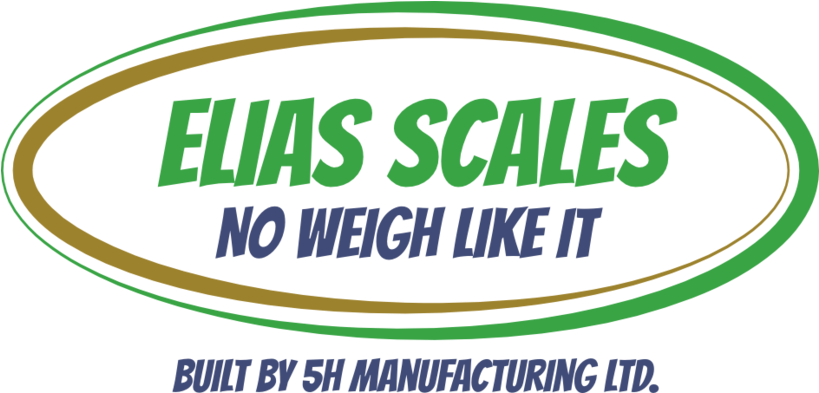 Hog, Cattle, Bale And Industrial Scales - Measure Foot From Toe To Heel (828x462), Png Download
