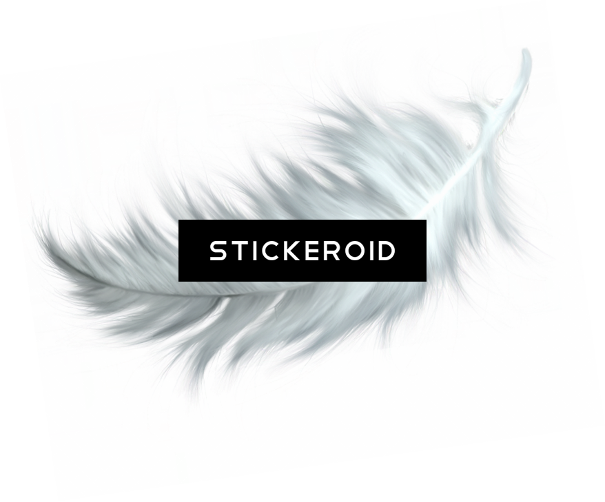 Feather - Eyelash Extensions (878x729), Png Download