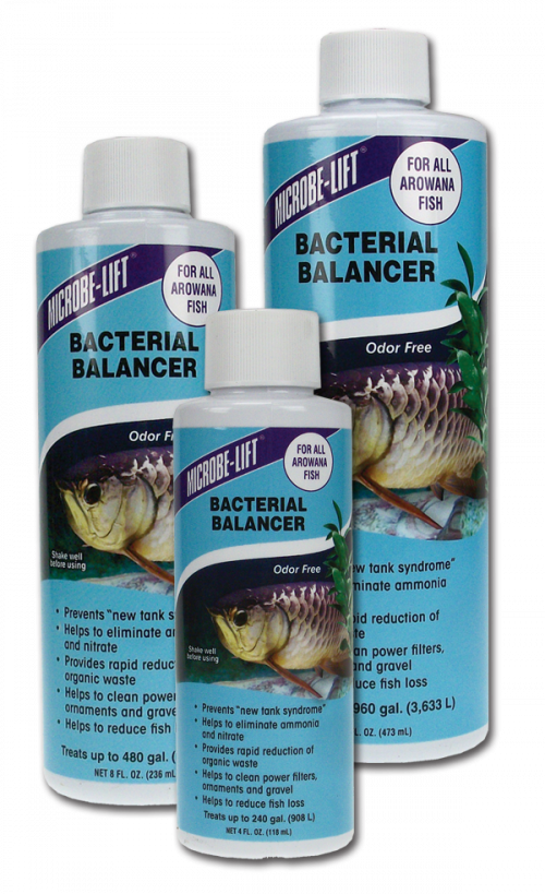 Related Products - Beneficial Bacteria Aquarium (500x819), Png Download