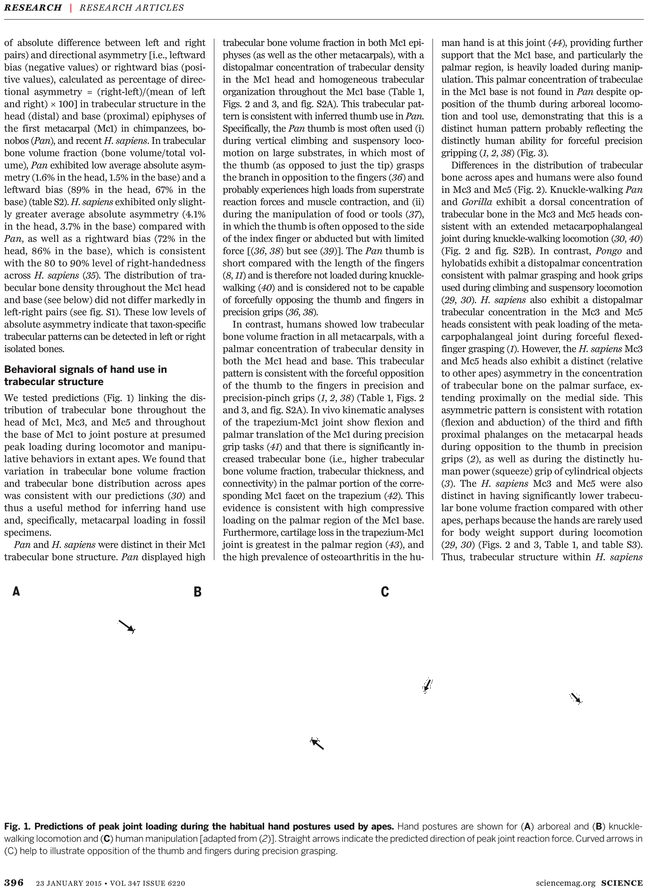 What - Ferderal Minimum Wage Poster (729x929), Png Download