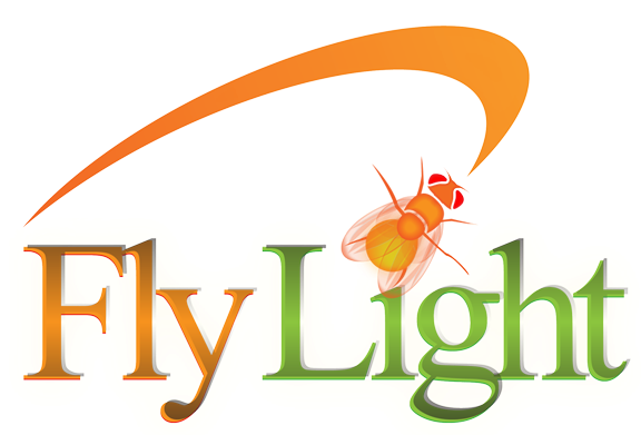 Janelia Flylight Expression Patterns Of Gal4 And Lexa - Evergreen Trading Logo (580x580), Png Download