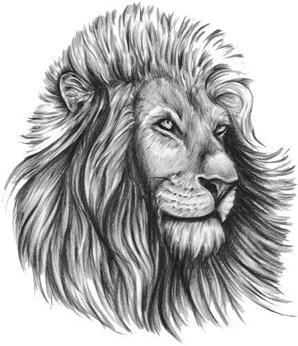 Lion Tattoo Clipart Face - Lion Tattoo Design Template (450x514), Png Download