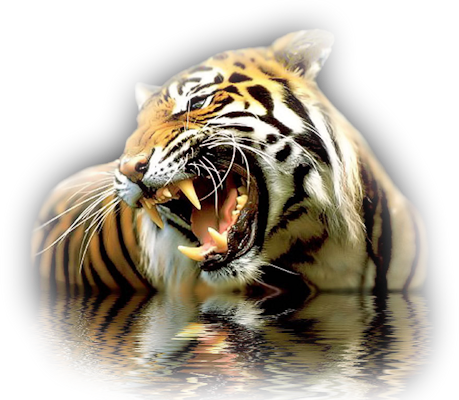 Tiger-wades - Cool 3d Images Of Tiger (459x400), Png Download