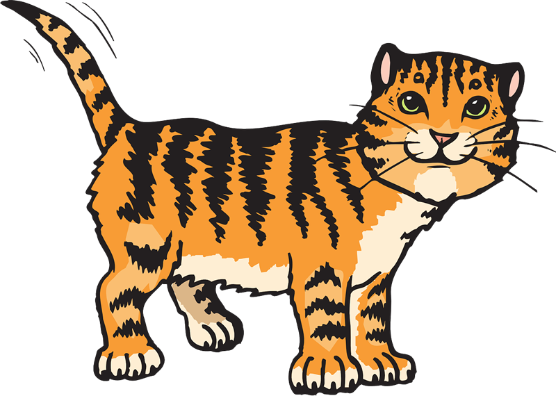 Free Kitten Page Of To Use Images - Cat Clipart (800x570), Png Download