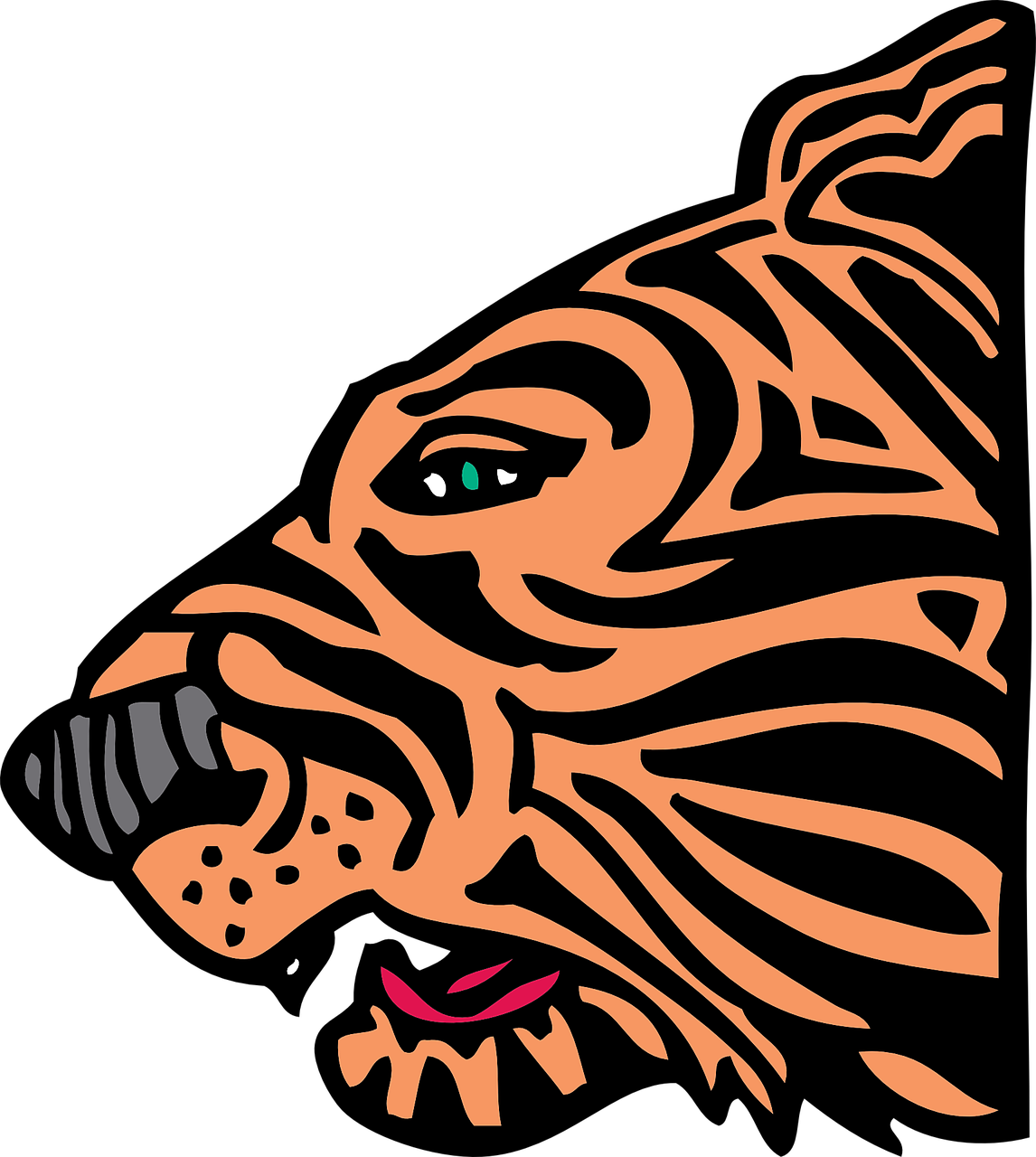 How To Set Use Tiger Head Clipart (809x900), Png Download
