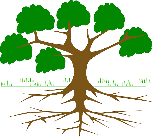 Tree, Branches, Root, Eco, Ecology, Nature, Plant - Arbol De Problemas Para Llenar (640x572), Png Download