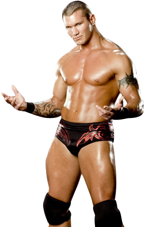 Photo Randy Orton51 Png Wwe Randy Orton - Randy Orton Rko (395x492), Png Download