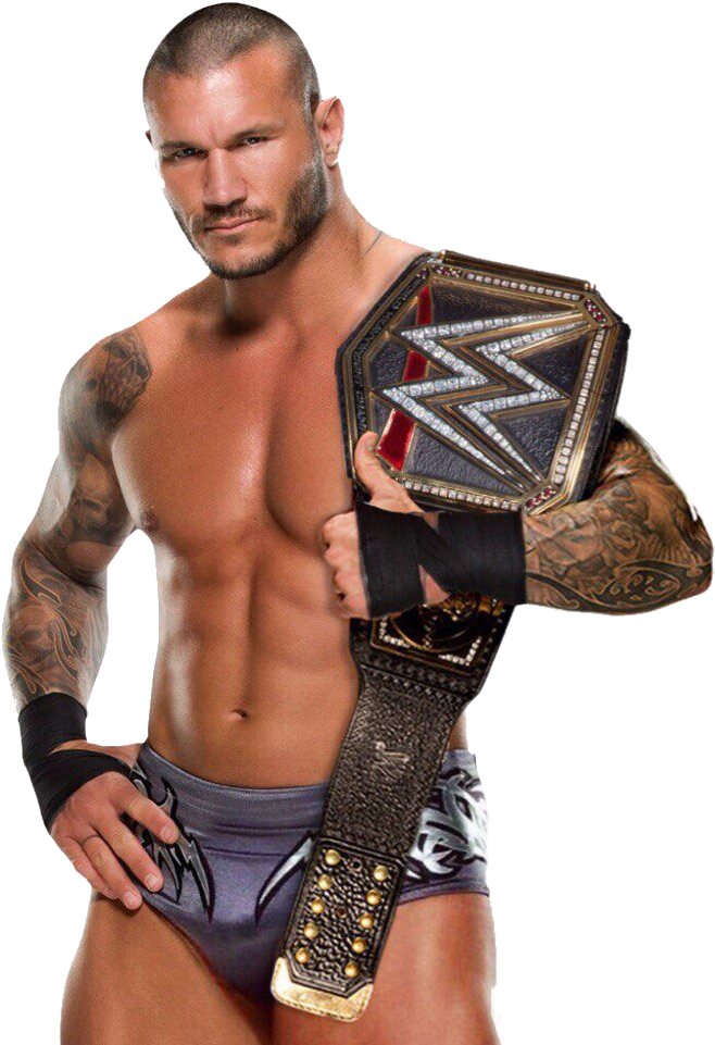Wwe Randy Orton Png By Double-a1698 - Wwe Randy Orton Png (685x960), Png Download