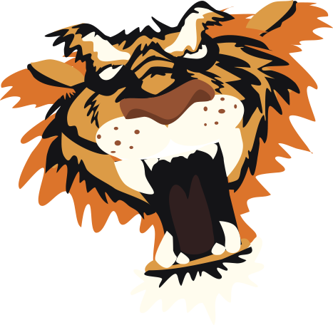 Tiger-face - Illustration (467x456), Png Download