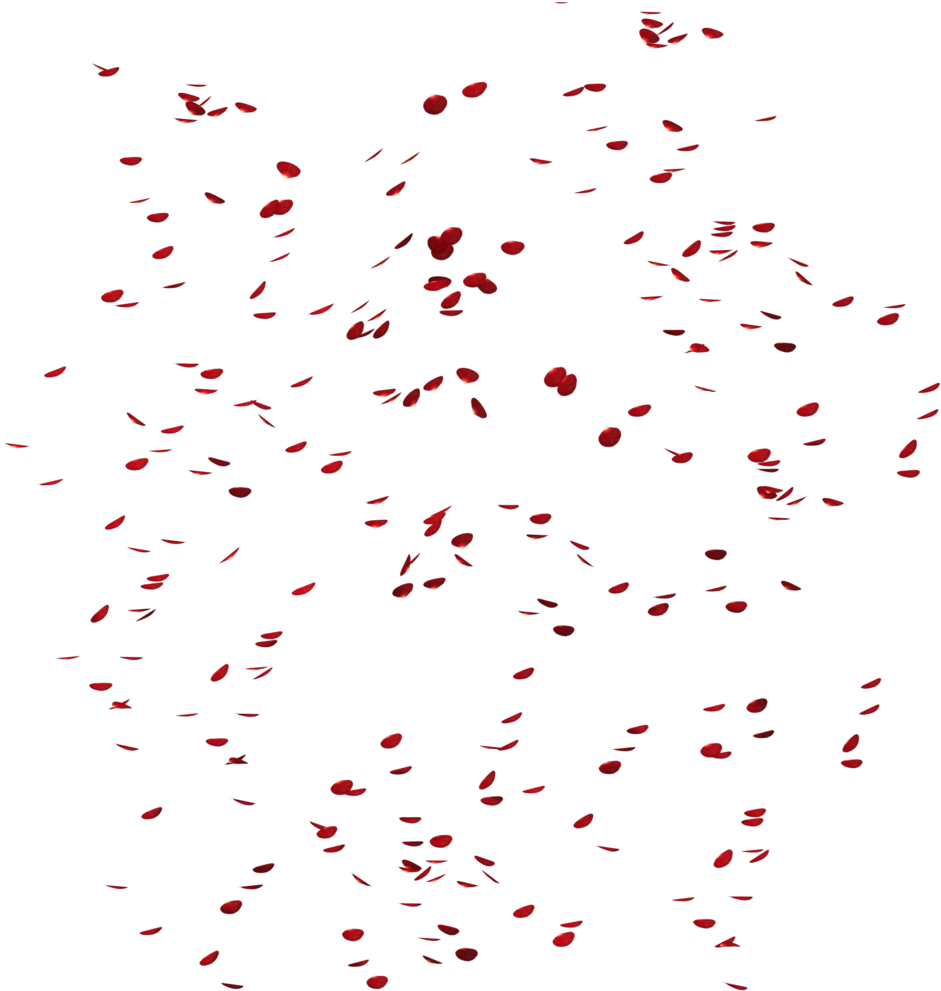 Go To Image - Lluvia De Hojas Png (1024x1055), Png Download