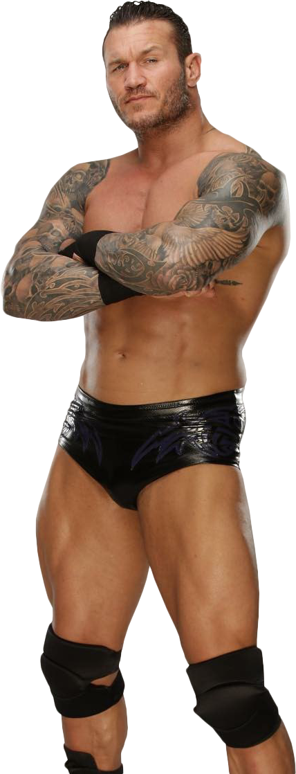 Randy Orton Render 2018 (428x1118), Png Download