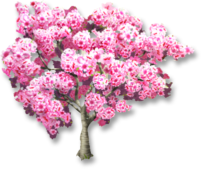 13, August 2, 2016 - Pink Trumpet Tree (405x405), Png Download