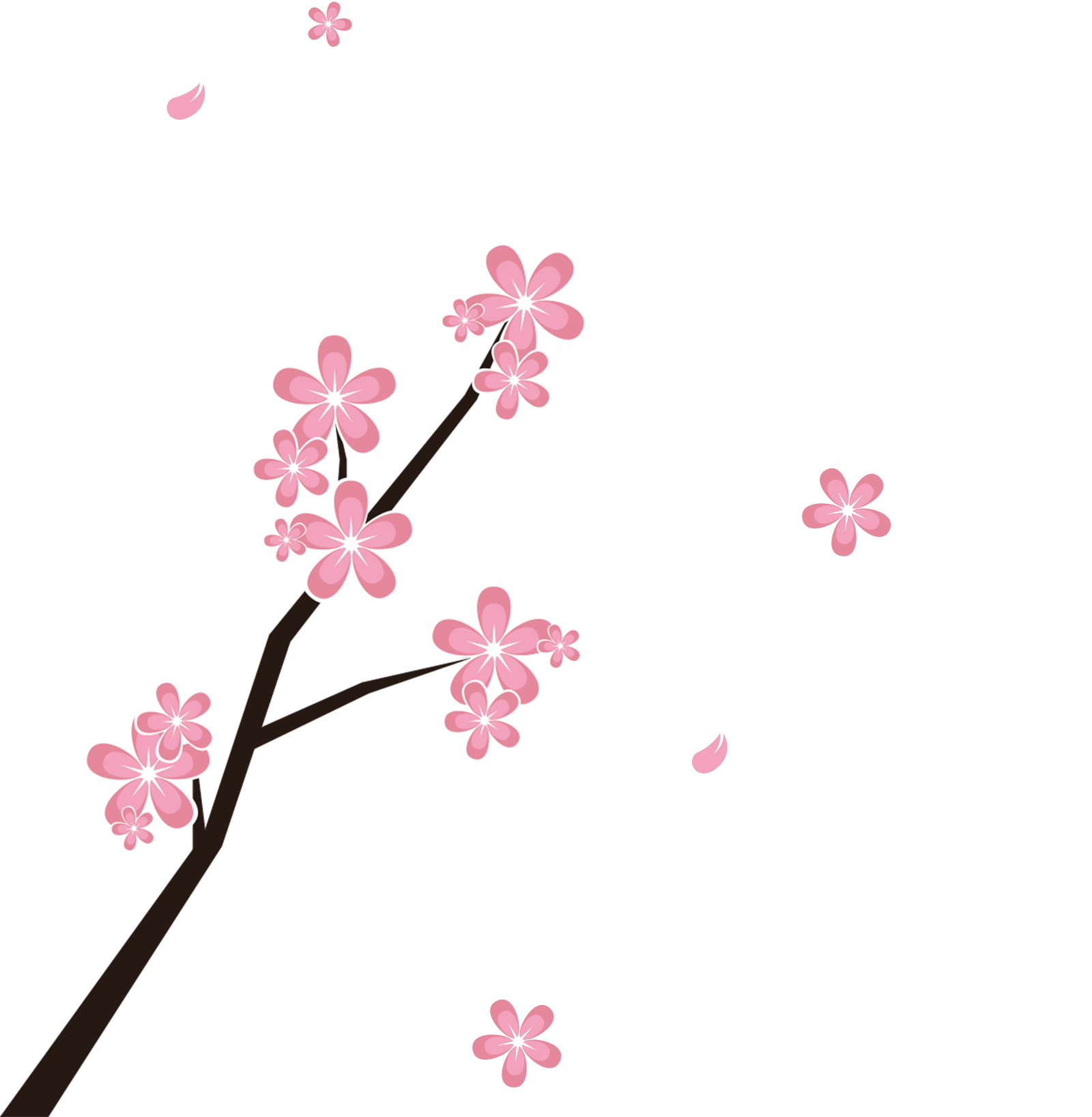 Japan Blossom Branches And Petals Transprent Png - Petal (1600x1636), Png Download