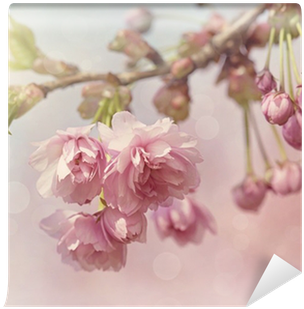 Art Print: Egal's Pink Cherry Blossom Tree, 61x46cm. (400x400), Png Download