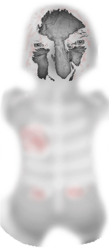 Haunted Ghost Transparent Background - Ghost (350x900), Png Download