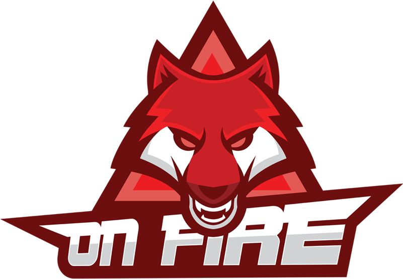 Logo Team Fortnite (800x800), Png Download