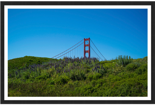 Suspension Bridge (498x498), Png Download