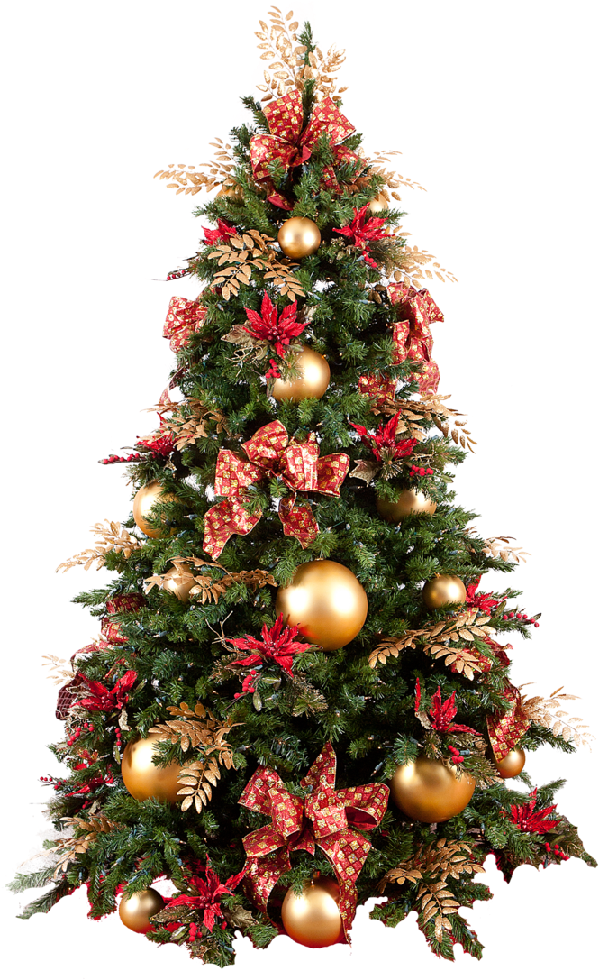Christmas Tree Photo Png Hd Png Images - Christmas Tree Png Real (400x600), Png Download