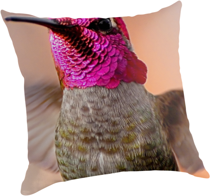 Calypte Anna By Kardancreations - Cushion (875x875), Png Download