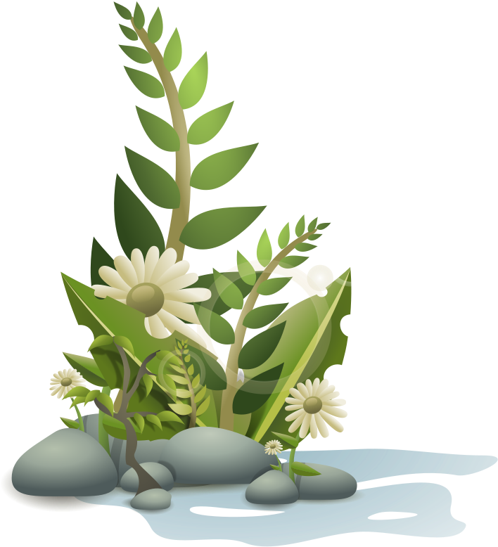 Andy Plants Pebbles And Flowers Clip Art Free Vector - Plants Clipart (546x599), Png Download