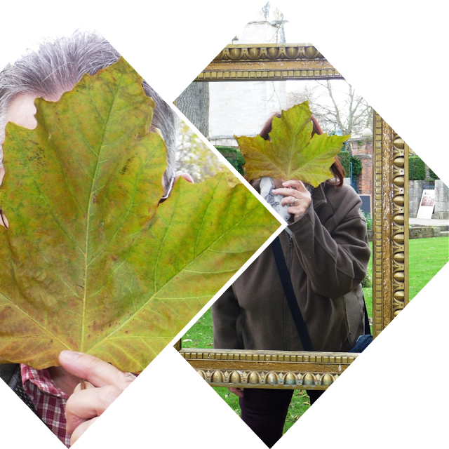 Its Not A Huge Property, But There Is Plenty To See - Maple Leaf (640x640), Png Download