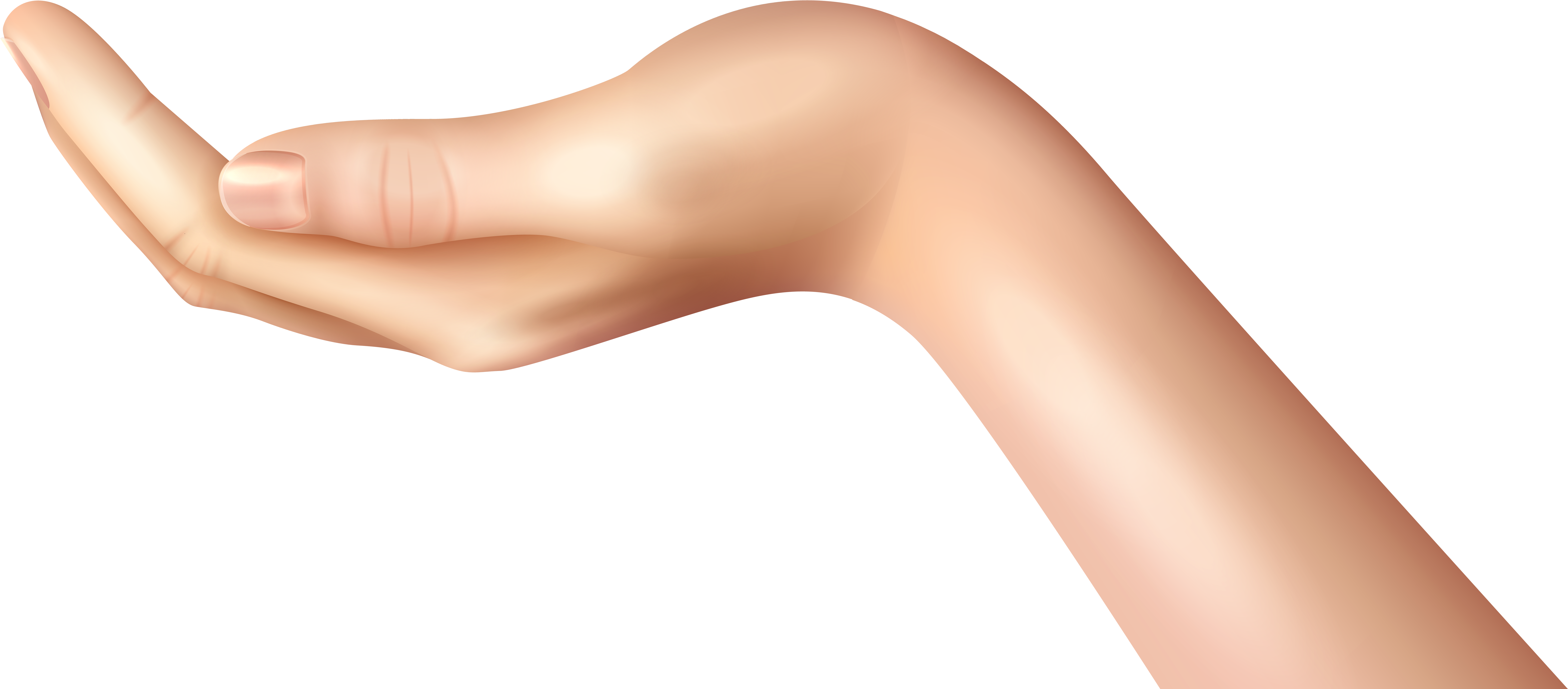Hand Holding Clipart Png (8000x3522), Png Download