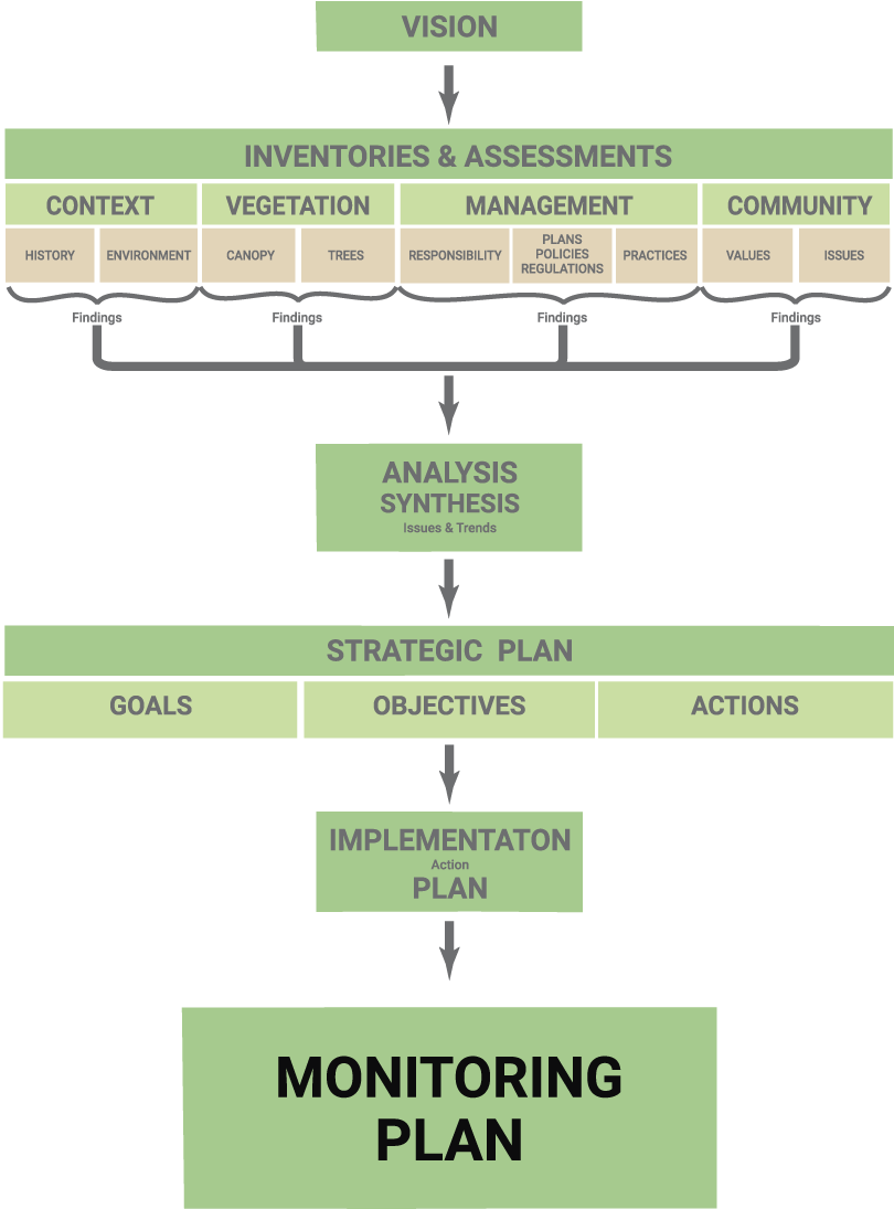 Activities Is Defined Including What Will Be Monitored, - Monitoring Plan (810x1095), Png Download