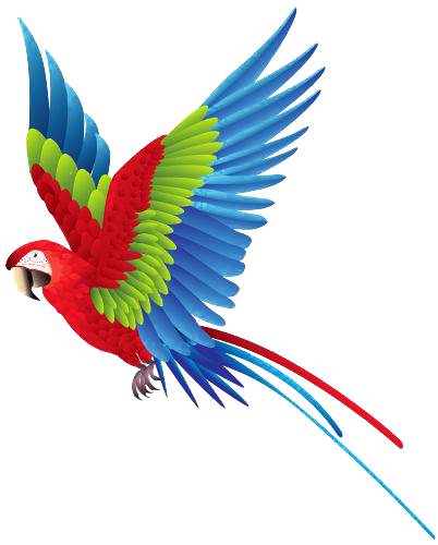Macaw Parrot Png Image - Flying Parrot Clipart (402x500), Png Download