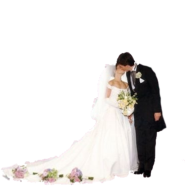 Wedding Couple Png - Transparent Wedding Couple Png (380x380), Png Download