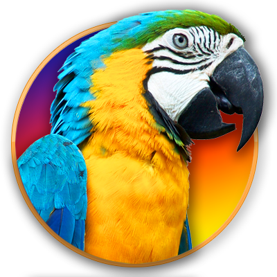 Parrot 1920 X 1280 (400x400), Png Download